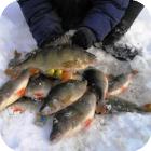Особенности рыбалки по первому льду на малых реках